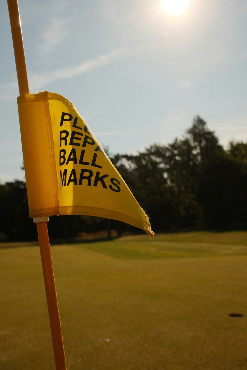 Drapeau jaune où l'on lit « Please repair ball marks »